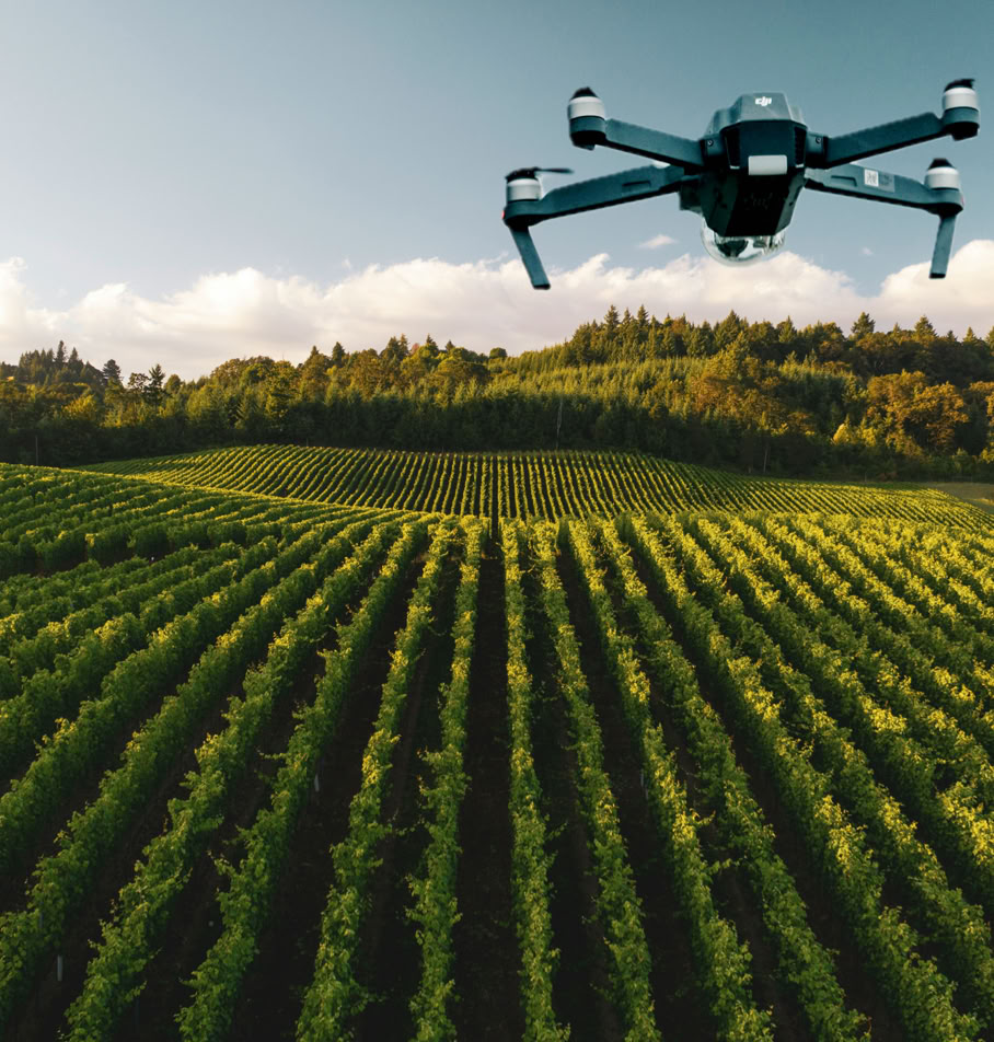 Un drone survole un vignoble verdoyant avec des collines en arrière-plan sous un ciel partiellement nuageux.
