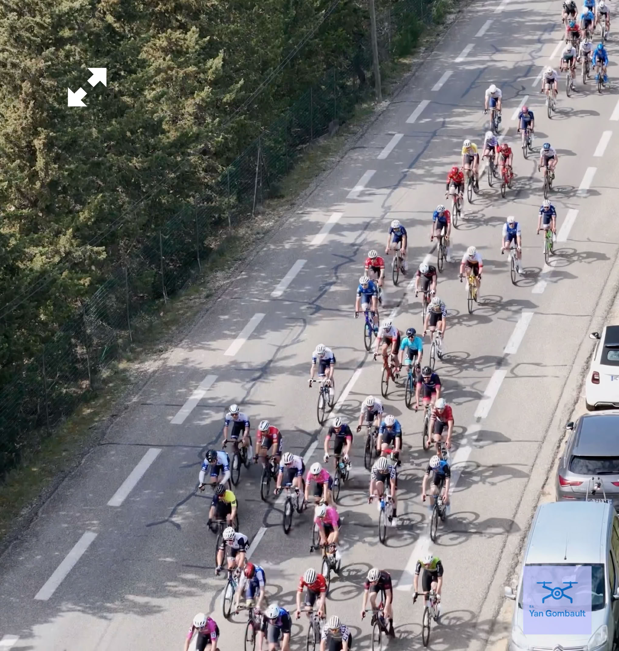 Des cyclistes en course sur une route bordée d'arbres, avec des véhicules stationnés sur le côté.